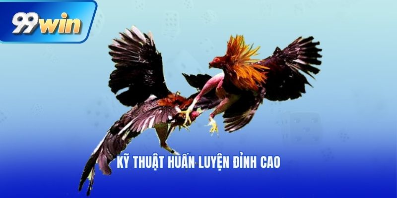 Kỹ thuật huấn luyện đỉnh cao