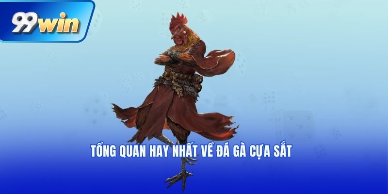 Tổng quan hay nhất về đá gà cựa sắt