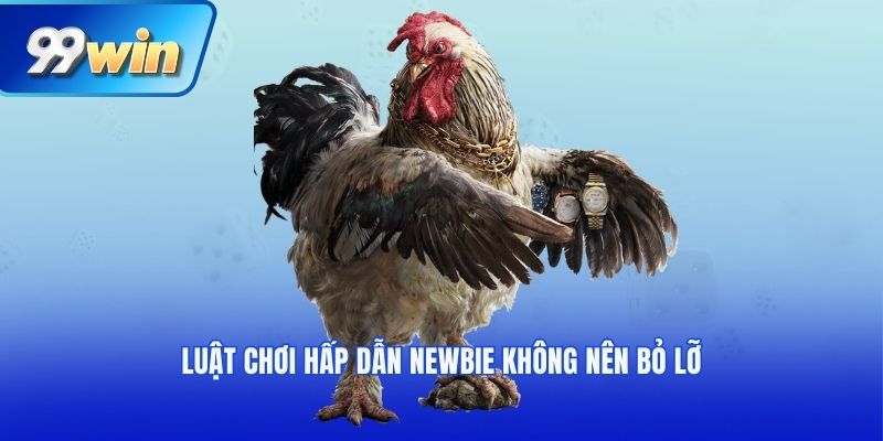 Luật chơi hấp dẫn newbie không nên bỏ lỡ