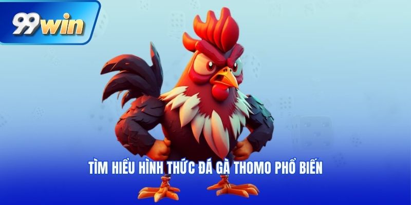 Tìm hiểu hình thức đá gà thomo phổ biến