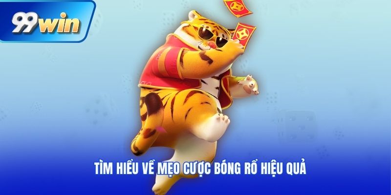 Tìm hiểu về mẹo cược bóng rổ hiệu quả